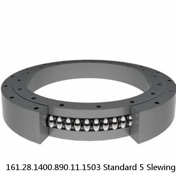 161.28.1400.890.11.1503 Standard 5 Slewing Ring Bearings