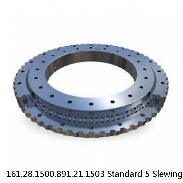 161.28.1500.891.21.1503 Standard 5 Slewing Ring Bearings