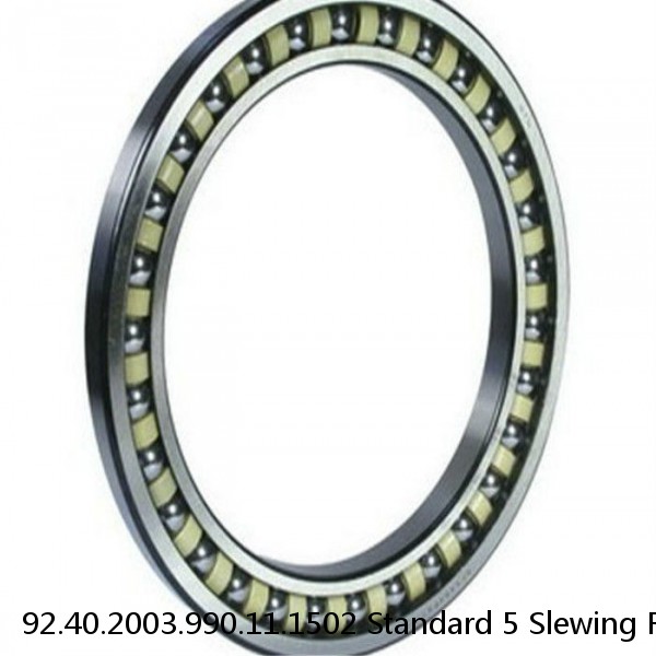 92.40.2003.990.11.1502 Standard 5 Slewing Ring Bearings