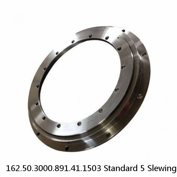 162.50.3000.891.41.1503 Standard 5 Slewing Ring Bearings