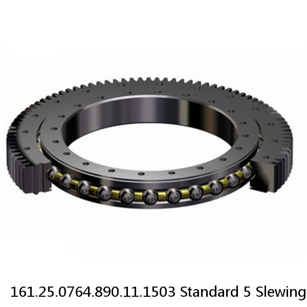 161.25.0764.890.11.1503 Standard 5 Slewing Ring Bearings