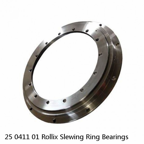 25 0411 01 Rollix Slewing Ring Bearings