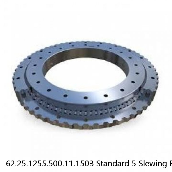 62.25.1255.500.11.1503 Standard 5 Slewing Ring Bearings