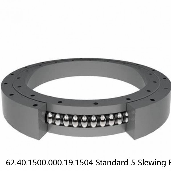 62.40.1500.000.19.1504 Standard 5 Slewing Ring Bearings