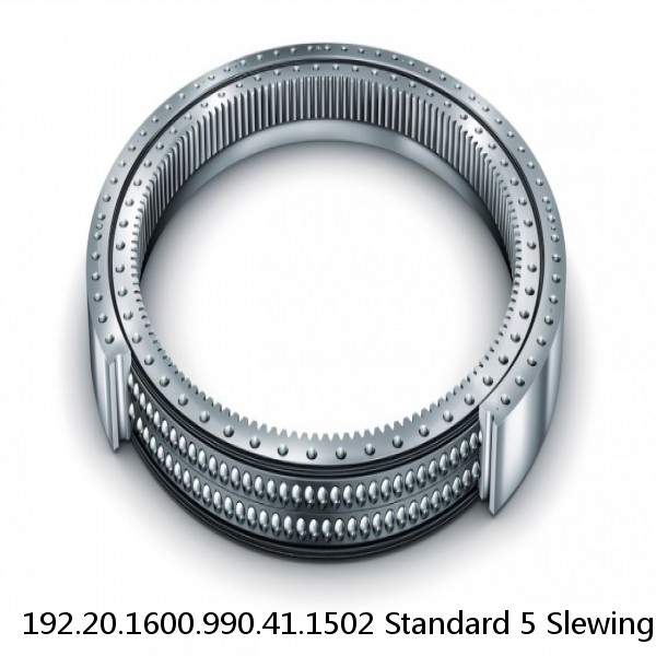 192.20.1600.990.41.1502 Standard 5 Slewing Ring Bearings