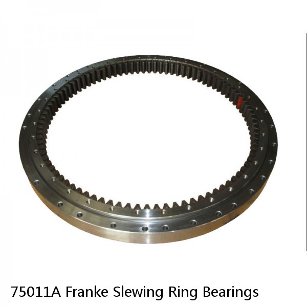 75011A Franke Slewing Ring Bearings