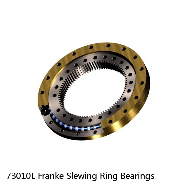 73010L Franke Slewing Ring Bearings