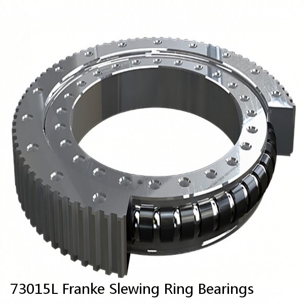 73015L Franke Slewing Ring Bearings