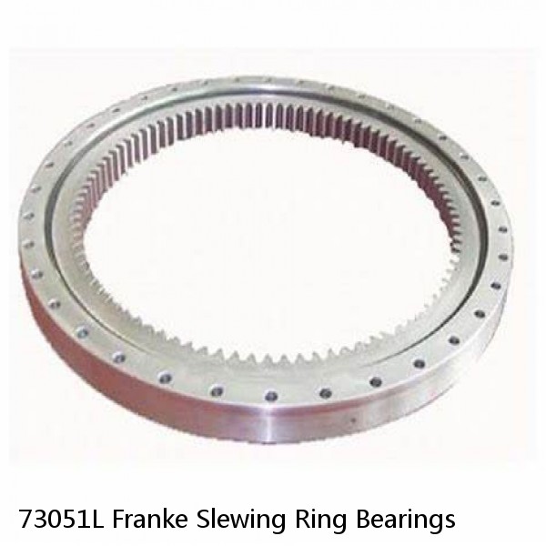 73051L Franke Slewing Ring Bearings