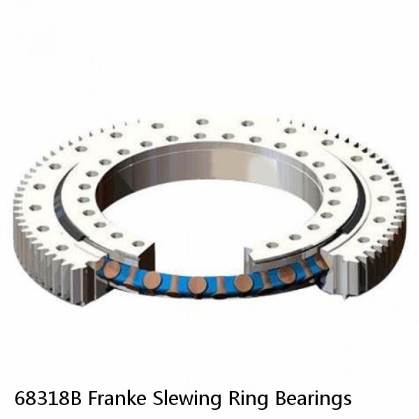 68318B Franke Slewing Ring Bearings