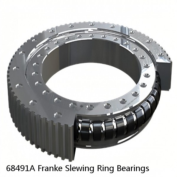 68491A Franke Slewing Ring Bearings