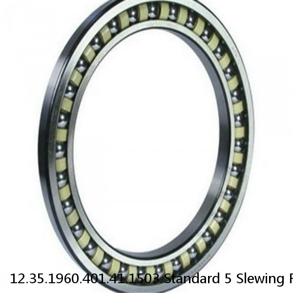 12.35.1960.401.41.1503 Standard 5 Slewing Ring Bearings