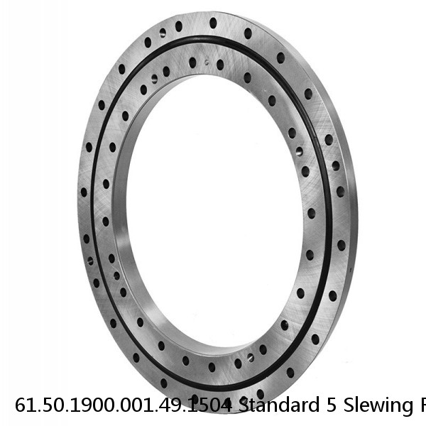 61.50.1900.001.49.1504 Standard 5 Slewing Ring Bearings