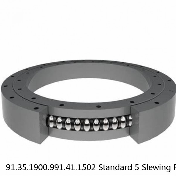 91.35.1900.991.41.1502 Standard 5 Slewing Ring Bearings