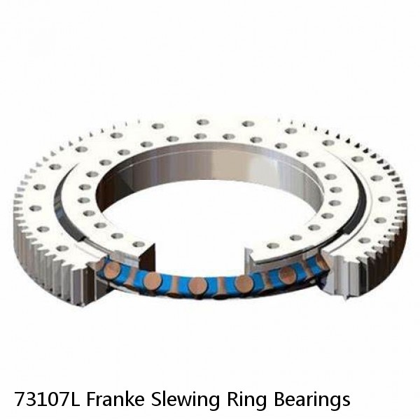 73107L Franke Slewing Ring Bearings