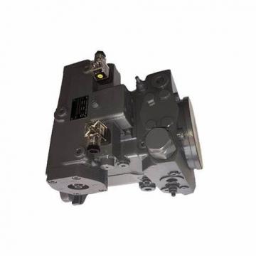 Rexroth Replacement A4vg125 Hydraulic Pump Parts