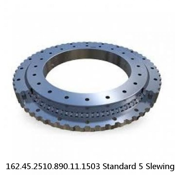 162.45.2510.890.11.1503 Standard 5 Slewing Ring Bearings