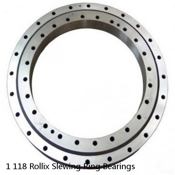 1 118 Rollix Slewing Ring Bearings