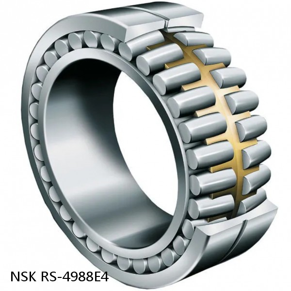 RS-4988E4 NSK CYLINDRICAL ROLLER BEARING