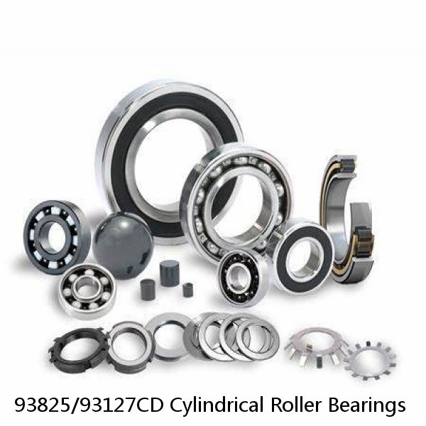 93825/93127CD Cylindrical Roller Bearings