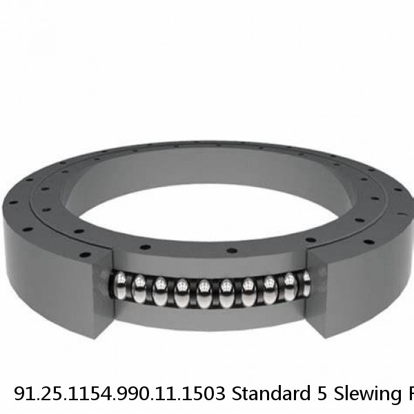 91.25.1154.990.11.1503 Standard 5 Slewing Ring Bearings