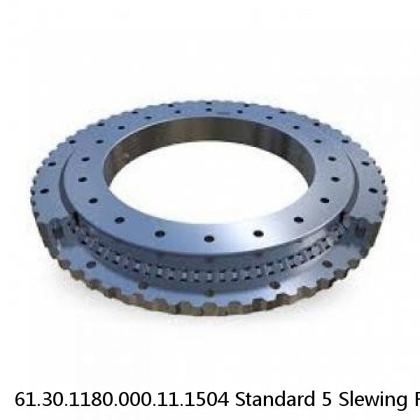 61.30.1180.000.11.1504 Standard 5 Slewing Ring Bearings