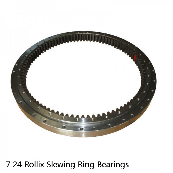 7 24 Rollix Slewing Ring Bearings