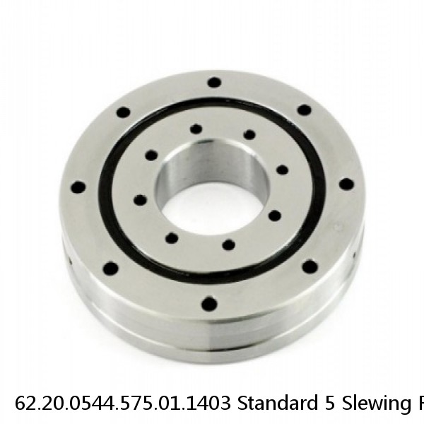 62.20.0544.575.01.1403 Standard 5 Slewing Ring Bearings