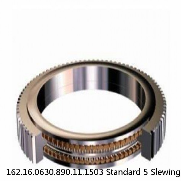 162.16.0630.890.11.1503 Standard 5 Slewing Ring Bearings