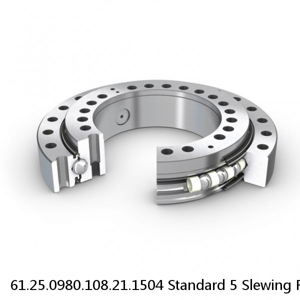 61.25.0980.108.21.1504 Standard 5 Slewing Ring Bearings