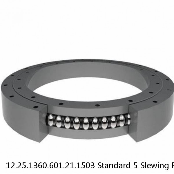 12.25.1360.601.21.1503 Standard 5 Slewing Ring Bearings