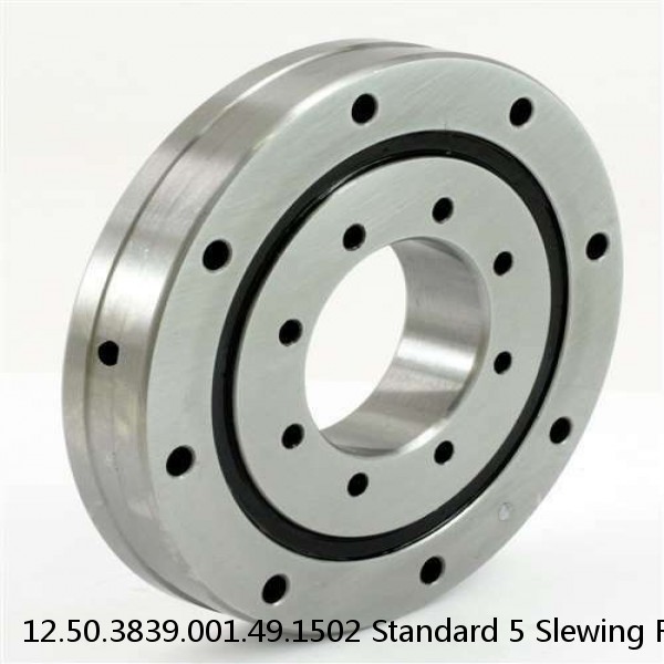 12.50.3839.001.49.1502 Standard 5 Slewing Ring Bearings