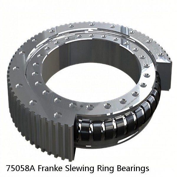 75058A Franke Slewing Ring Bearings