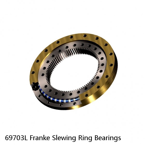 69703L Franke Slewing Ring Bearings