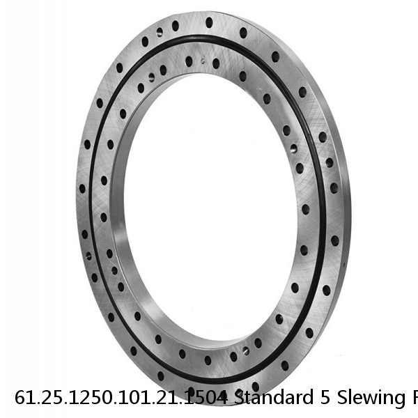 61.25.1250.101.21.1504 Standard 5 Slewing Ring Bearings