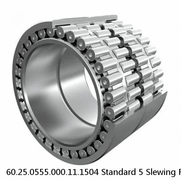 60.25.0555.000.11.1504 Standard 5 Slewing Ring Bearings