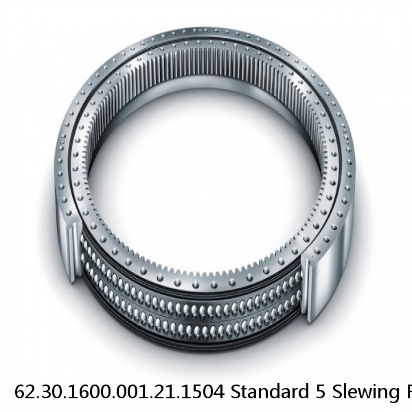 62.30.1600.001.21.1504 Standard 5 Slewing Ring Bearings