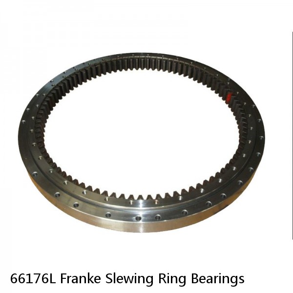 66176L Franke Slewing Ring Bearings