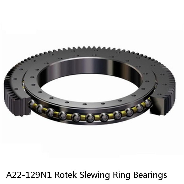 A22-129N1 Rotek Slewing Ring Bearings