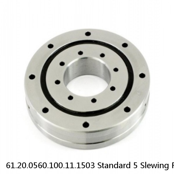 61.20.0560.100.11.1503 Standard 5 Slewing Ring Bearings