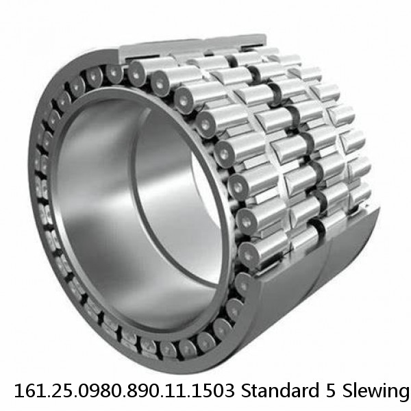 161.25.0980.890.11.1503 Standard 5 Slewing Ring Bearings