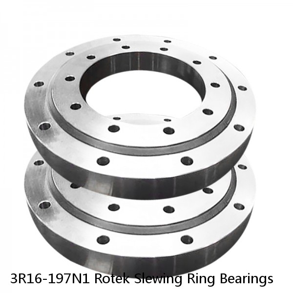 3R16-197N1 Rotek Slewing Ring Bearings