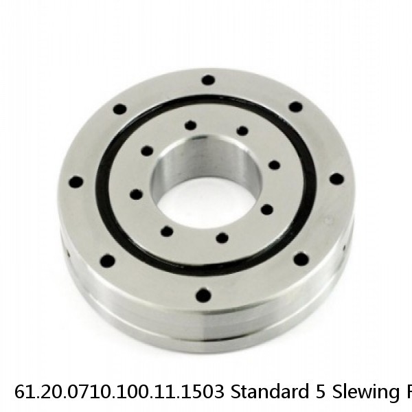 61.20.0710.100.11.1503 Standard 5 Slewing Ring Bearings