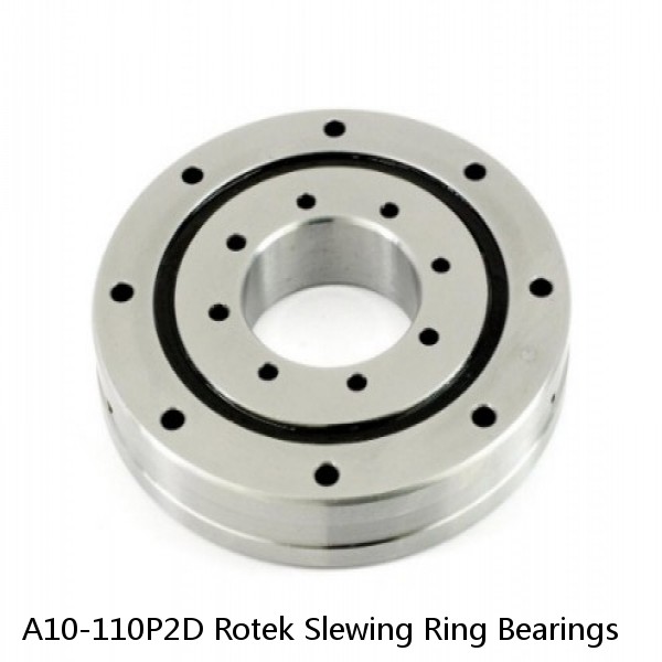 A10-110P2D Rotek Slewing Ring Bearings