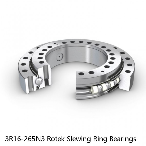 3R16-265N3 Rotek Slewing Ring Bearings