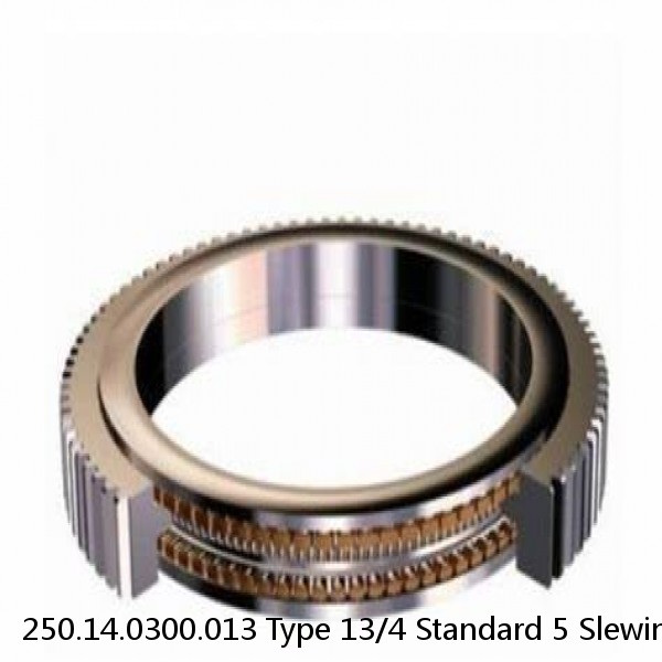 250.14.0300.013 Type 13/4 Standard 5 Slewing Ring Bearings