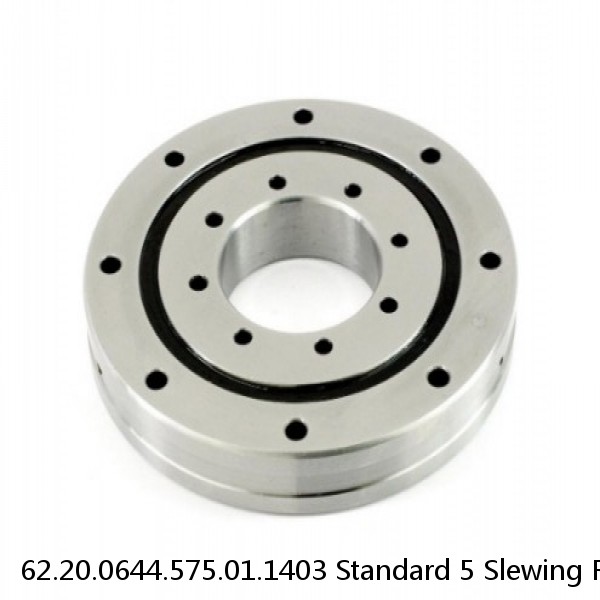 62.20.0644.575.01.1403 Standard 5 Slewing Ring Bearings