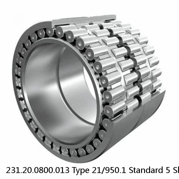 231.20.0800.013 Type 21/950.1 Standard 5 Slewing Ring Bearings