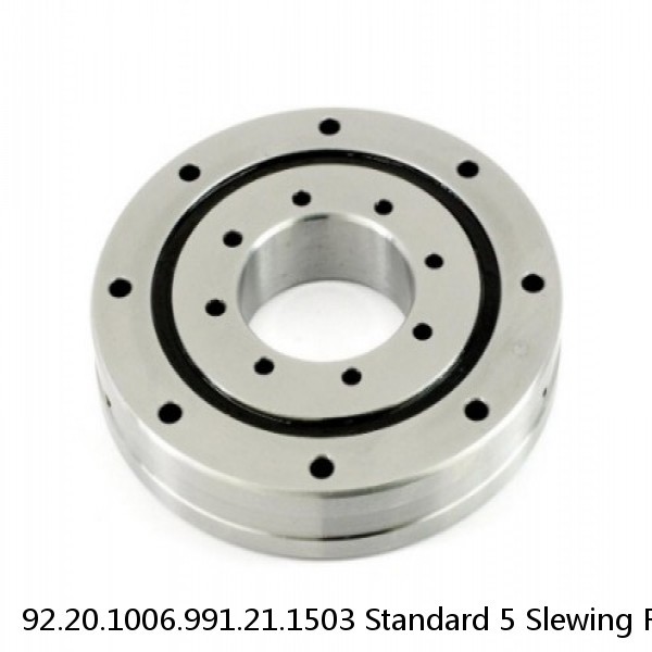 92.20.1006.991.21.1503 Standard 5 Slewing Ring Bearings