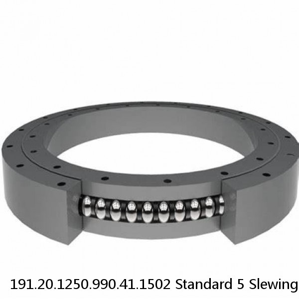 191.20.1250.990.41.1502 Standard 5 Slewing Ring Bearings